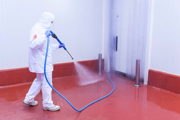 Paint Preparation in Wurtsboro, NY